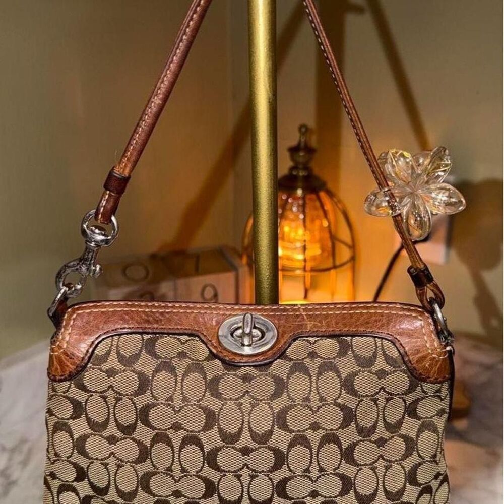 Coach Women's Brown Bag